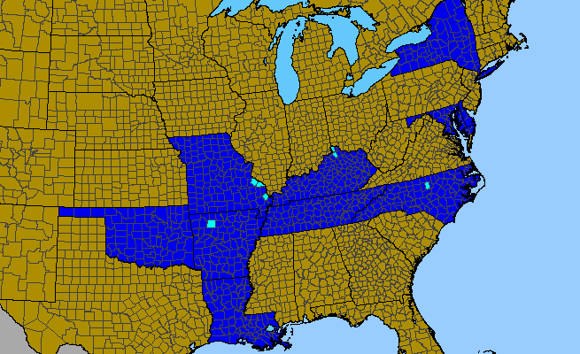 The range of Stellaria neglecta